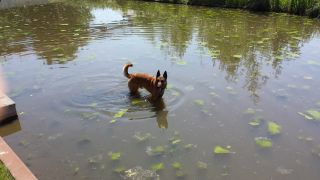 20130618_143925.jpg