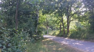 20130722_175032.jpg