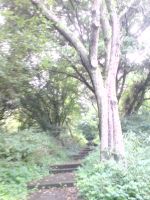 DSC00603.JPG