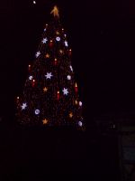 DSC00771.JPG