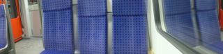 DSC00907.JPG