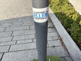 IMG_0893.JPG