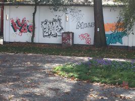IMG_0969.JPG