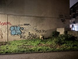 IMG_1950.JPG