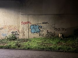 IMG_1951.JPG