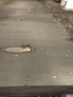 IMG_20211020_215009263.jpg