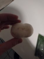 IMG_20220125_213846925.jpg