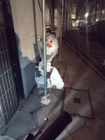IMG_20230303_232659657.jpg