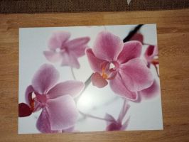 IMG_20240131_202957.jpg