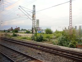 IMG_20240603_195848.jpg