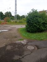 IMG_20240731_180040.jpg