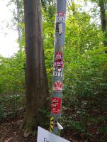 IMG_20240818_152335.jpg