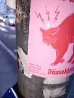IMG_20250312_182745.jpg