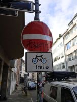 IMG_20250314_133601.jpg