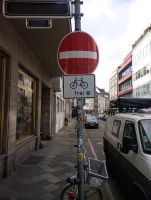 IMG_20250314_133607.jpg