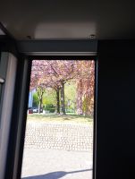 IMG_20250412_161752.jpg