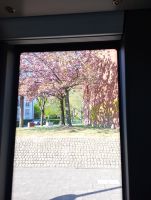 IMG_20250412_161755.jpg