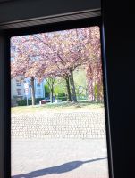IMG_20250412_161800.jpg
