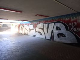 IMG_20250510_143320.jpg