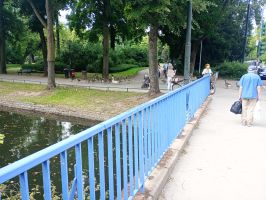 IMG_20250616_155805.jpg