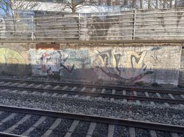IMG_2408.JPG