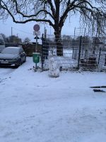 IMG_2739.JPG